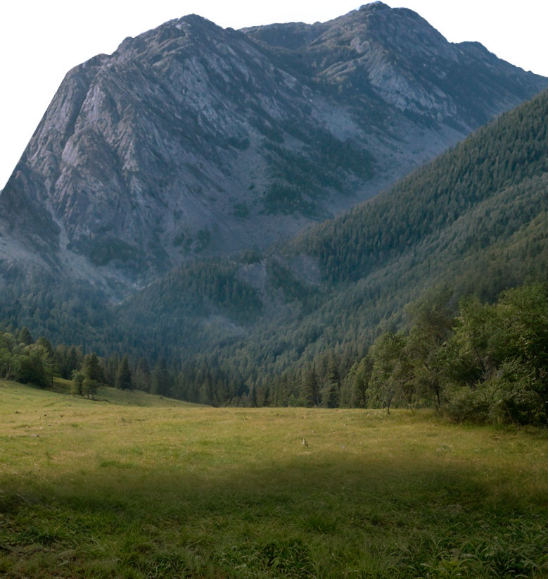 Фон карточки мероприятия для телефона