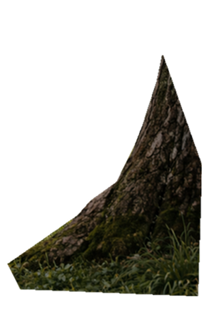 Пень на карточке мероприятия для телефона